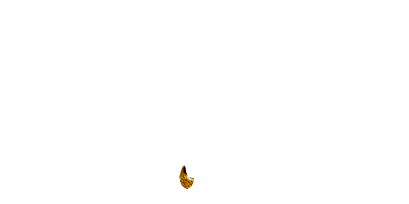 たっぷりオイル専門！ぬるスパ