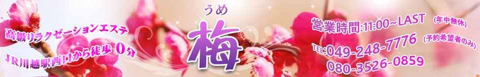 梅