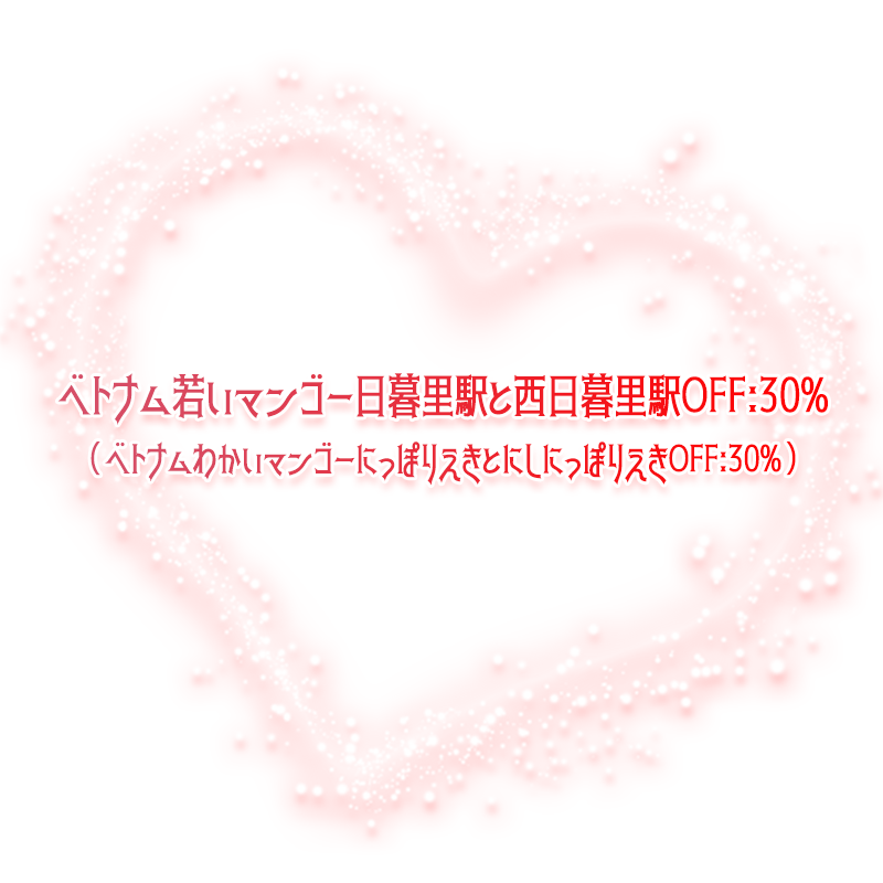 ベトナム若いマンゴー日暮里駅と西日暮里駅OFF:30%