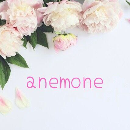 anemone（アネモネ）