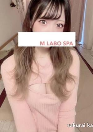 櫻井かれん