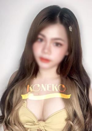 ハル