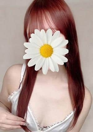 ここ