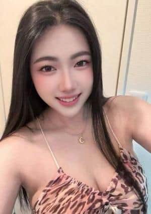 ここ