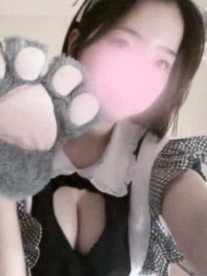 すずにゃん