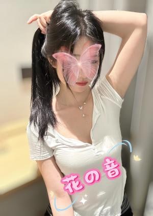 めいちゃん
