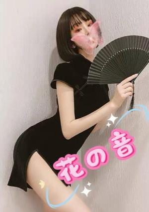 ルルちゃん