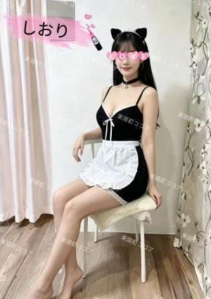 しおり