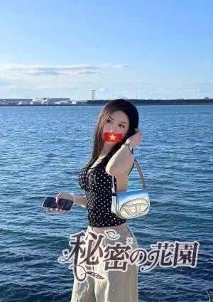 ここ