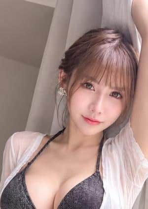 ナビ
